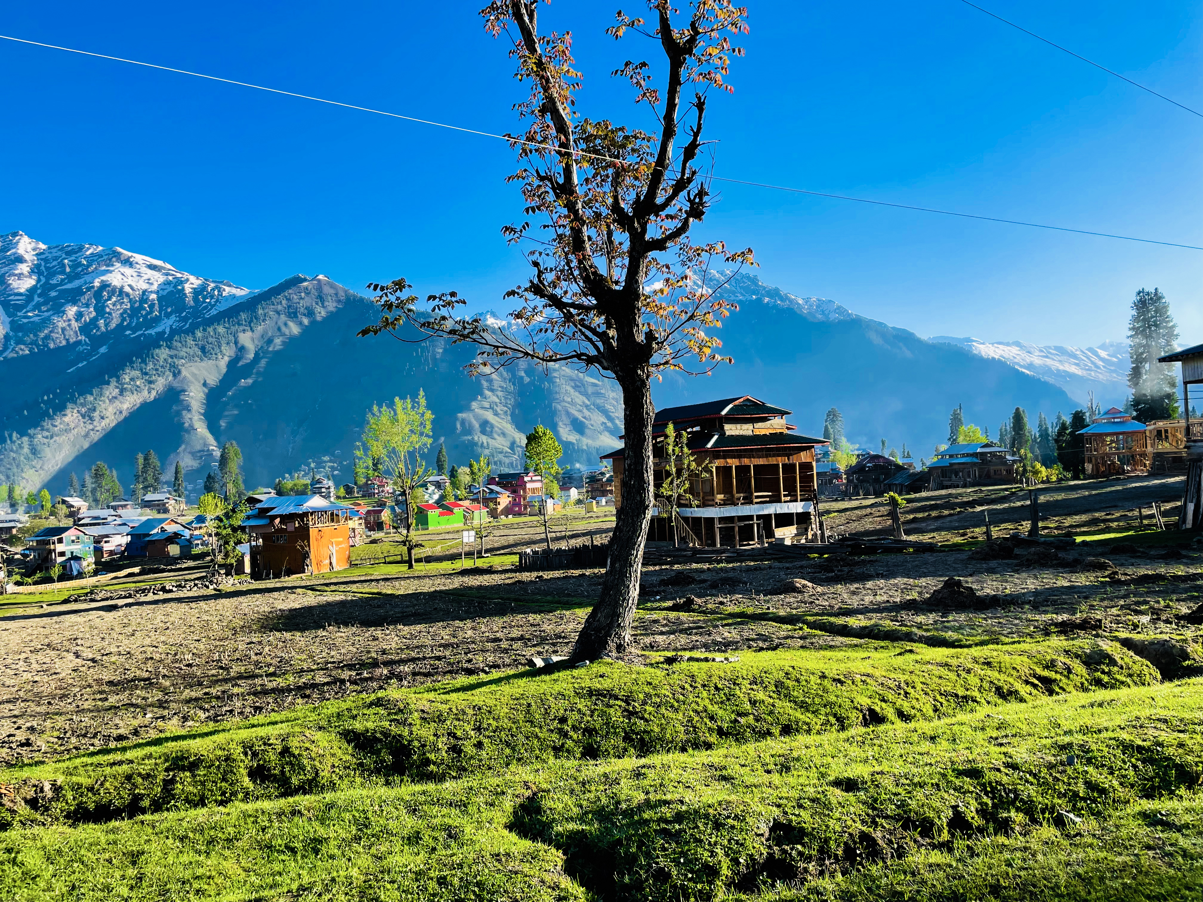 Kashmir